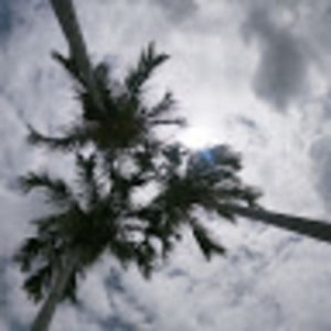 Meet your Posher, Alberto